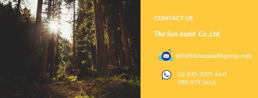 The sun audit group